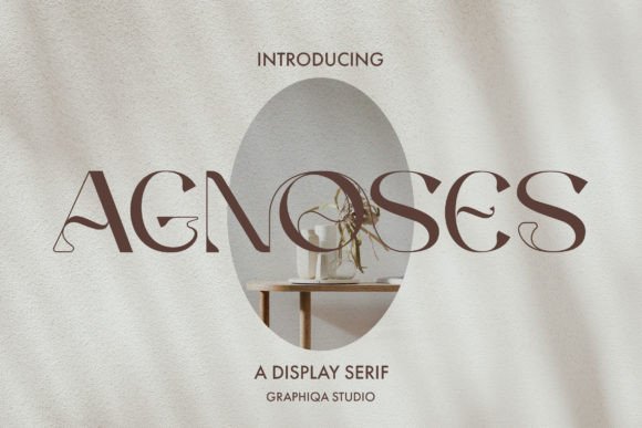 Agnoses: A Modern Slab Serif Font for Contemporary Design Needs