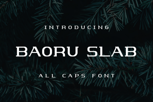 Baoru Slab: A Modern Slab Serif Font for Creative Projects